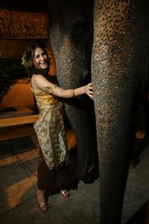 Scout Taylor-Compton's Feet (16...