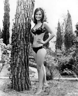 Laura Antonelli's Feet (497308)