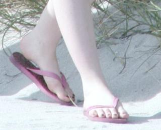 Michelle Trachtenberg's Feet (500858)