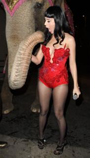 Katy Perry's Feet (599665)