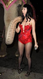 Katy Perry's Feet (599666)