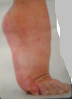 Stefany Hohnjec's Feet (603213)