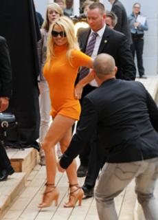 Pamela Anderson's Feet (664154)
