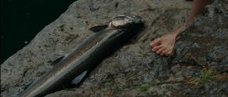 Amber Heard's Feet (674461)